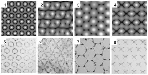 Hexagonal surface wave acoustic tweezer chip for cell arrangement and assembly