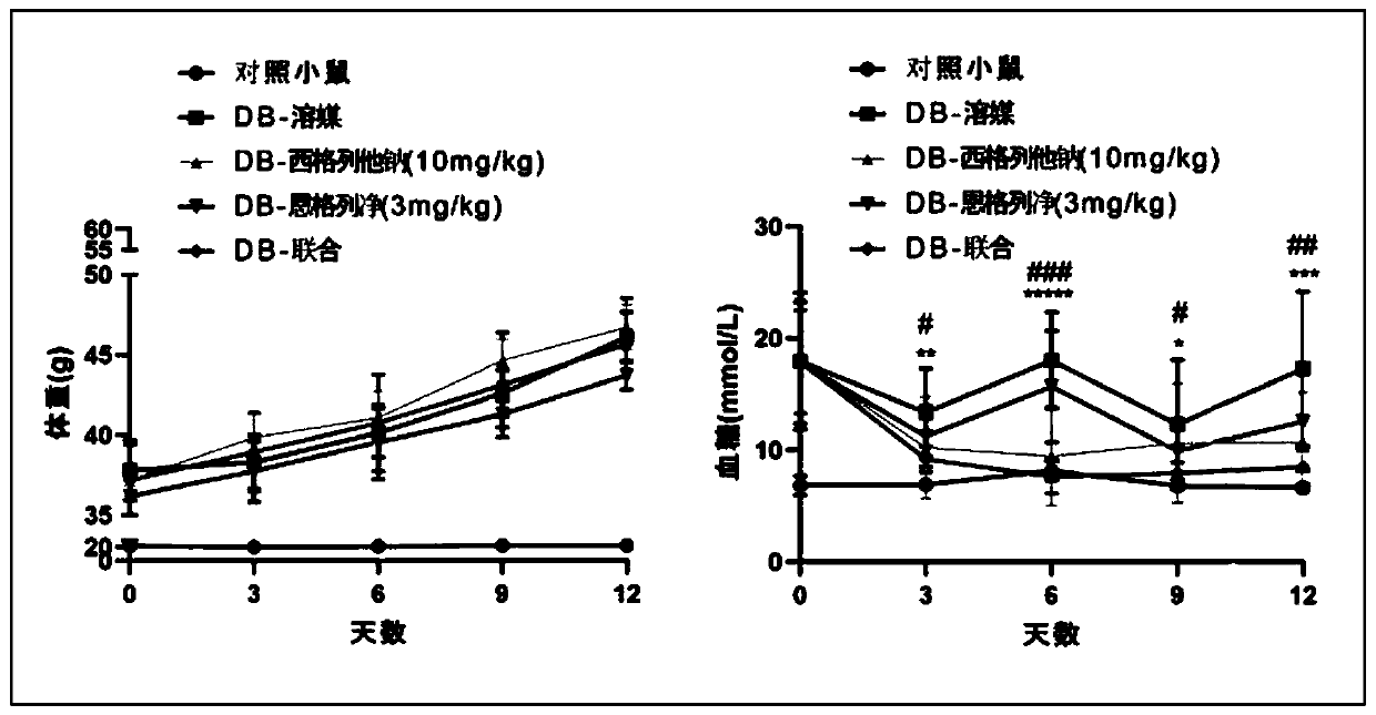 Combined drug for treating diabetes mellitus and complications and pharmaceutical composition of combined drug