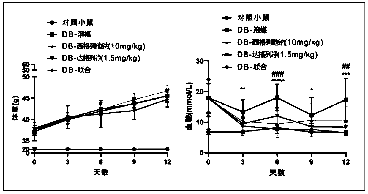 Combined drug for treating diabetes mellitus and complications and pharmaceutical composition of combined drug