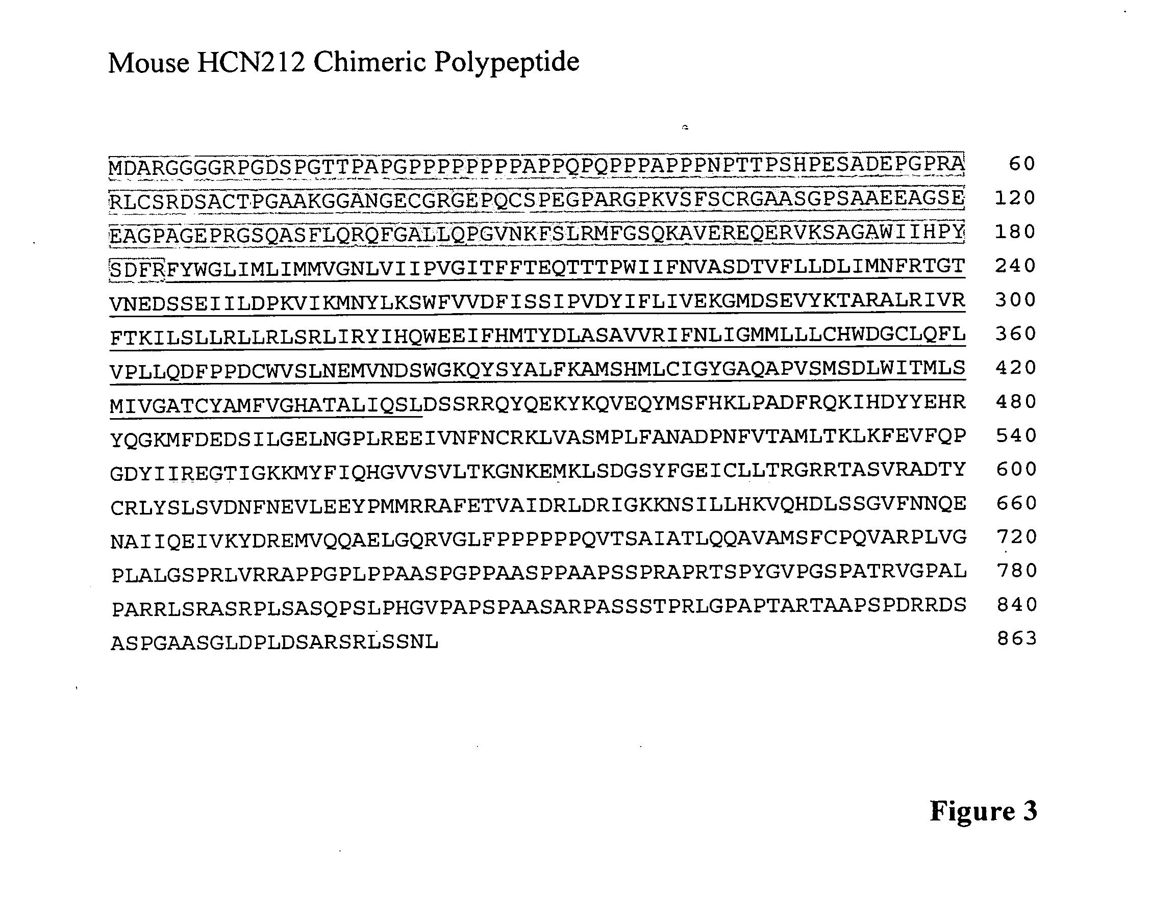 Biological bypass bridge with sodium channels, calcium channels and/or potassium channels to compensate for conduction block in the heart