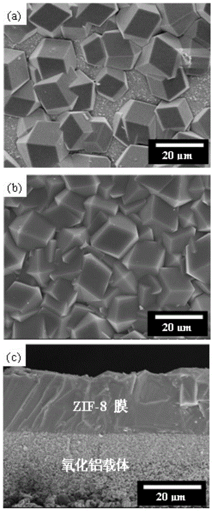 Metal organic framework membrane and preparation method and application thereof