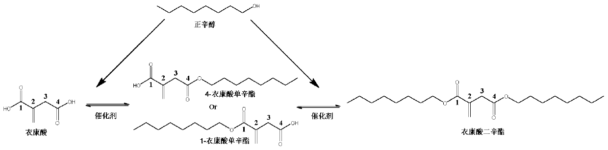 Method for preparing 4-octyl itaconate by enzymatic selective catalysis