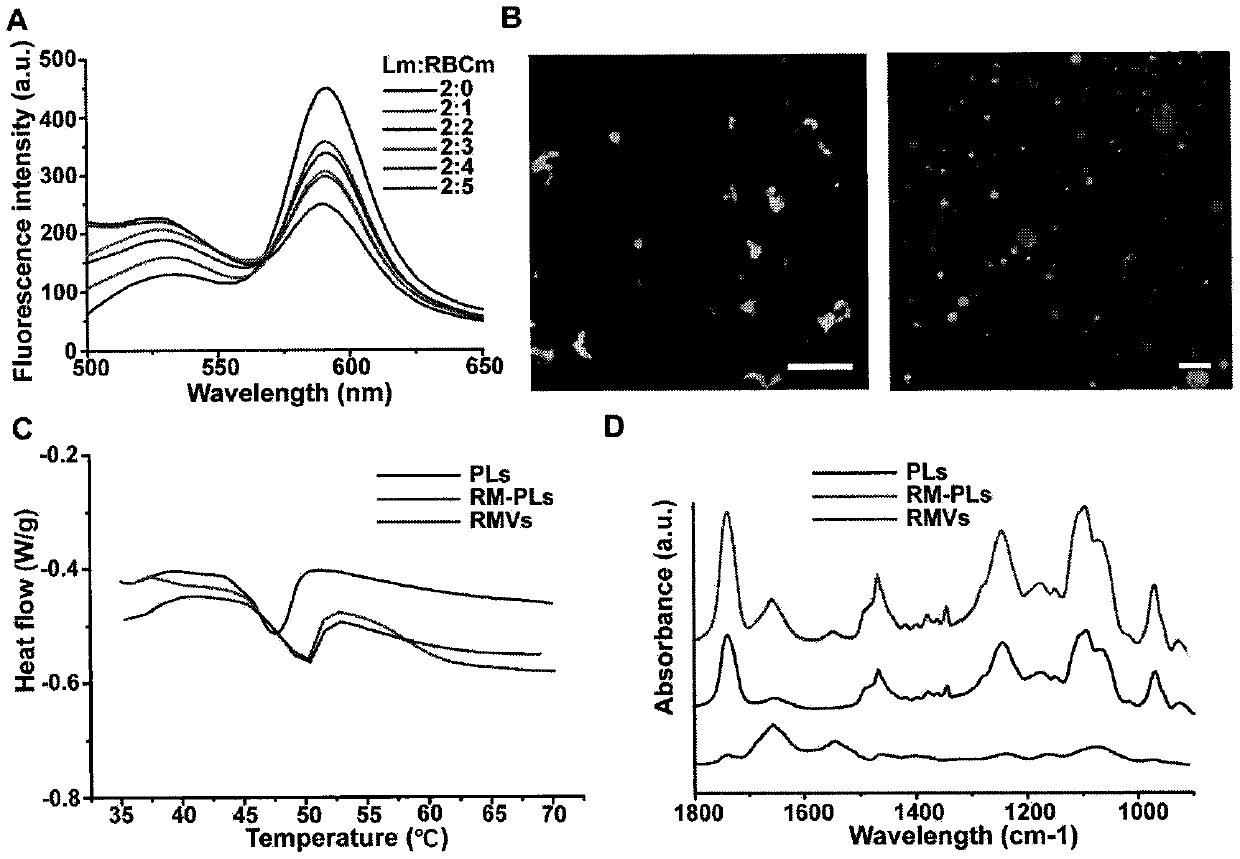 Nano medicine system with bacterium pore-forming toxin adsorption capability and application of nano medicine system