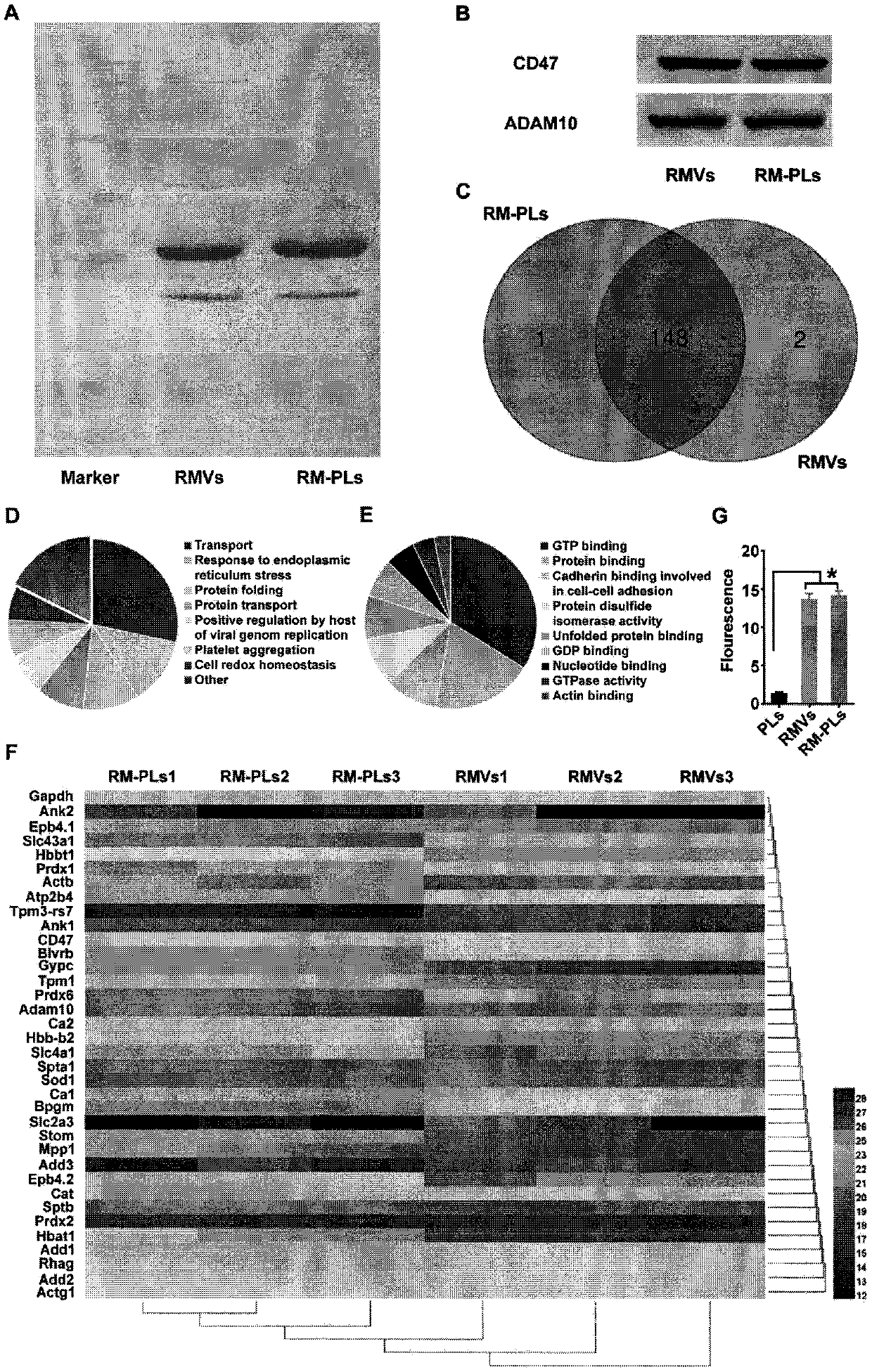 Nano medicine system with bacterium pore-forming toxin adsorption capability and application of nano medicine system