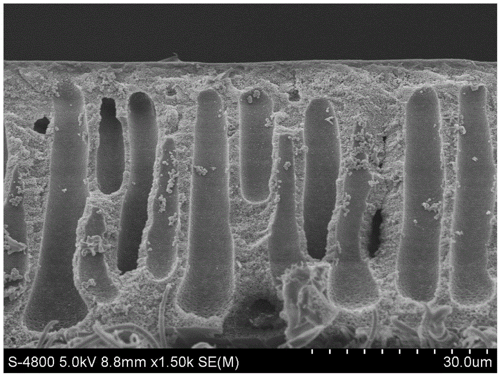 High-throughput high-retention rate composite nanofiltration membrane preparation method