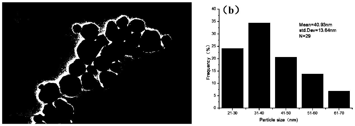 Green preparation method of copper nano particles based on citrus pectin and application of copper nano particles