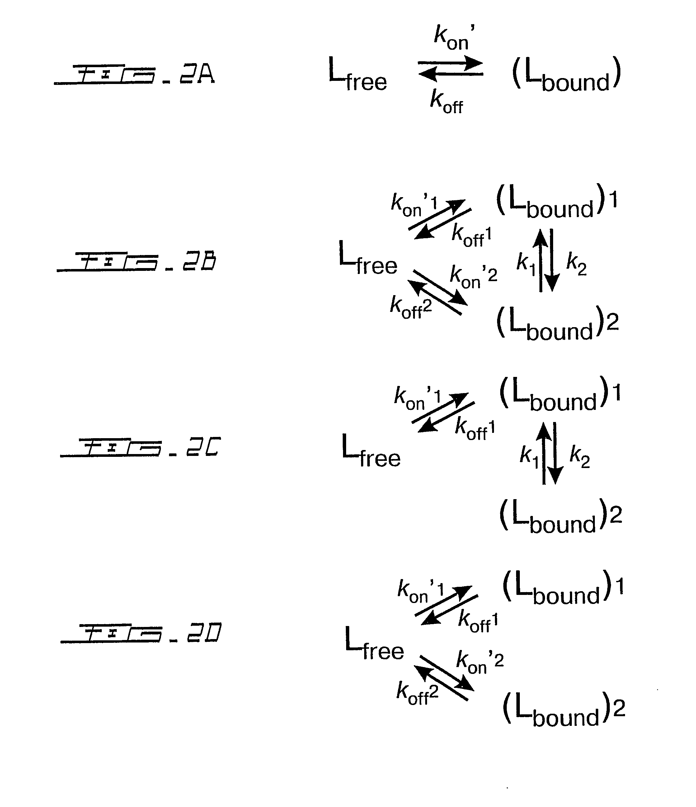 Quantitative ranking of transient ligand binding to target biomolecules