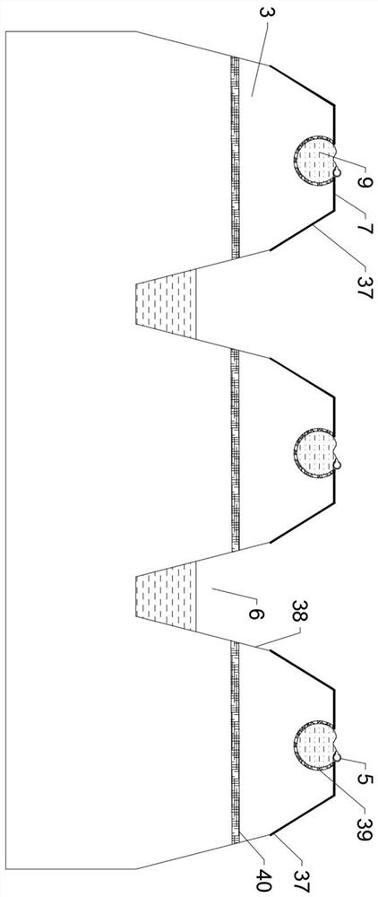 Salinized soil improvement system and method