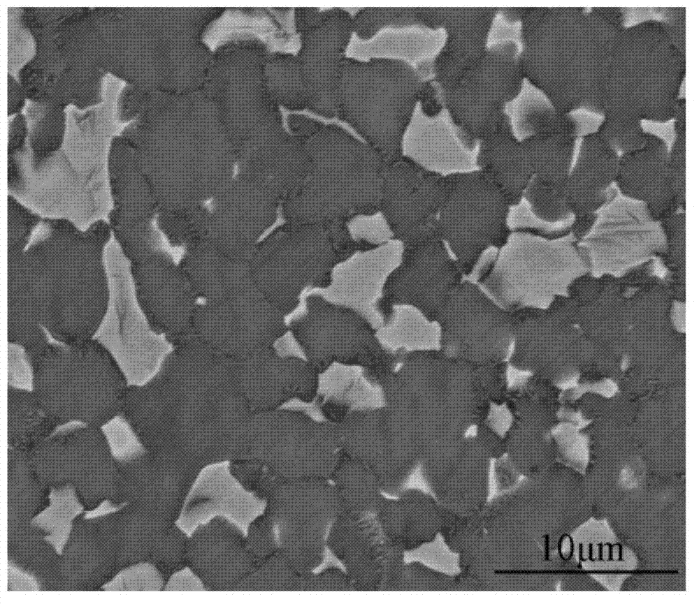 Beta-gamma TiAl alloy and preparation method thereof