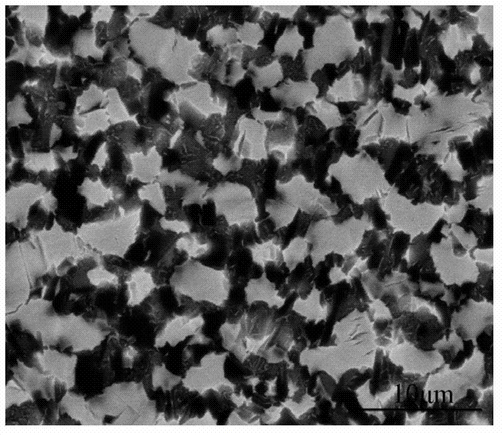 Beta-gamma TiAl alloy and preparation method thereof