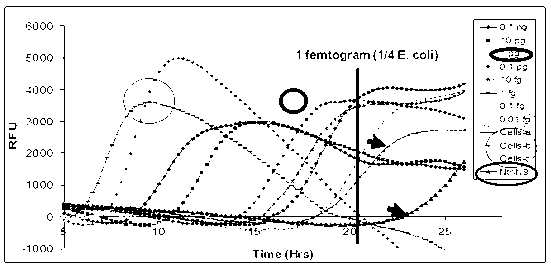 Trace and complex DNA amplification method