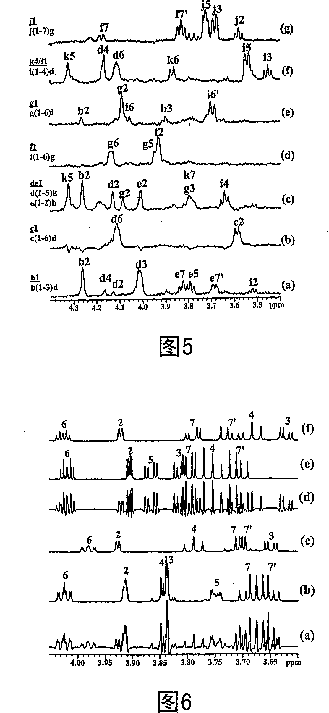 Conserved inner core lipopolysaccharide epitopes as multi-species vaccine candidates