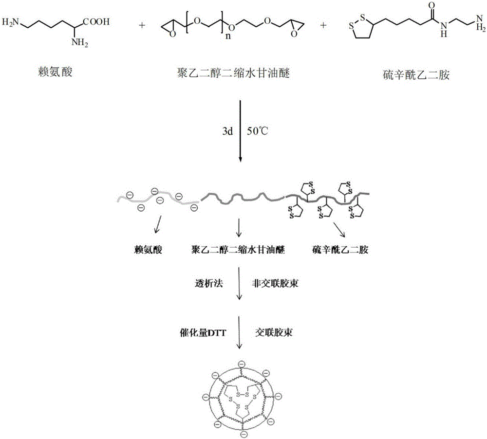 Preparation method of redox-sensitive reversible crosslinked nano micelle with reversible charges