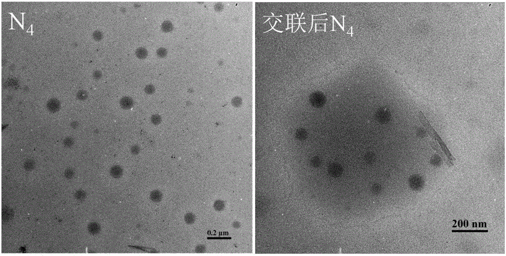 Preparation method of redox-sensitive reversible crosslinked nano micelle with reversible charges