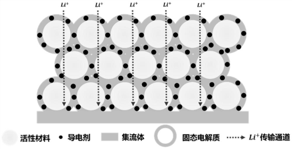 Solid electrode and preparation method and application thereof