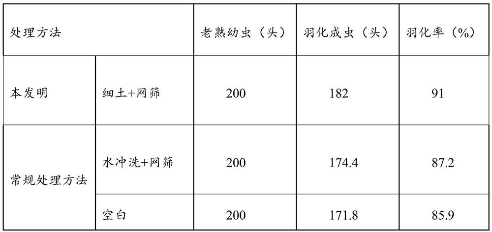 Method for collecting mangicola pure mature larvae