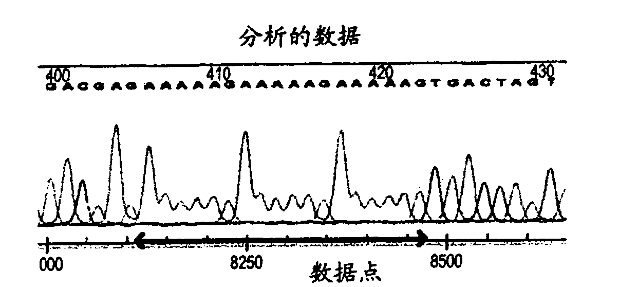 Novel enzyme electrode, and fuel cell comprising the enzyme electrode