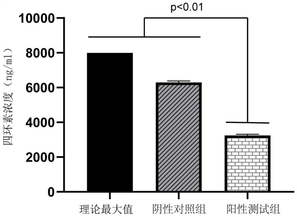 A kind of Chrysobacterium aureus ddw4-2 strain and its application in degrading tetracycline antibiotics