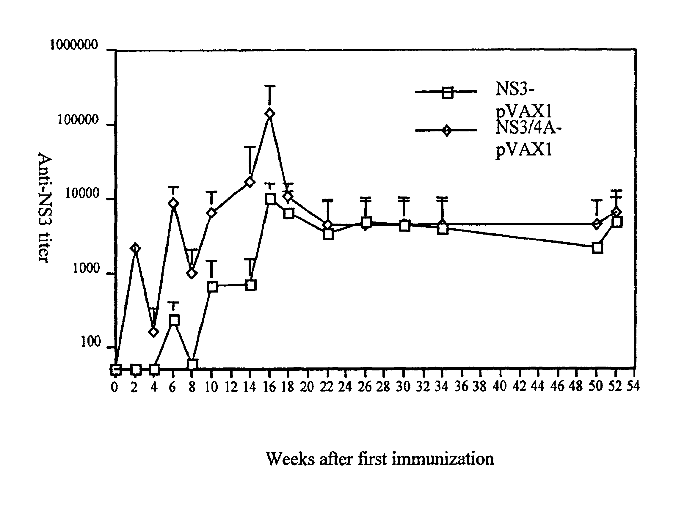 Hepatitis C virus non-structural NS3/4A fusion gene