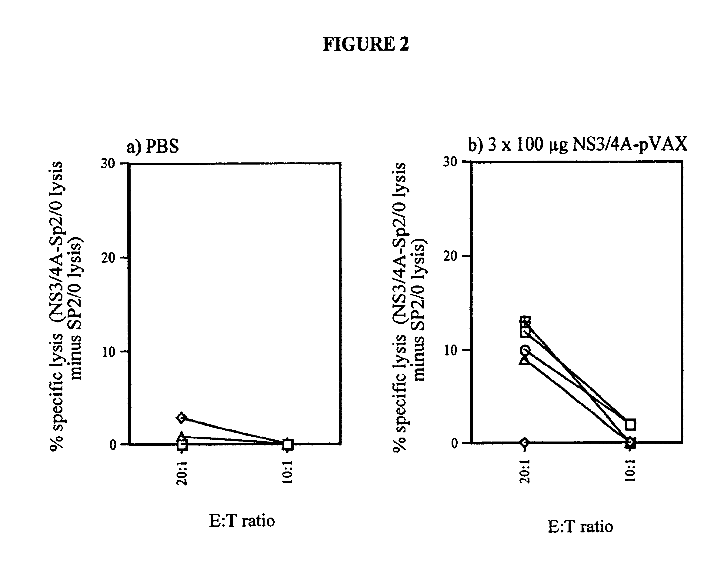 Hepatitis C virus non-structural NS3/4A fusion gene