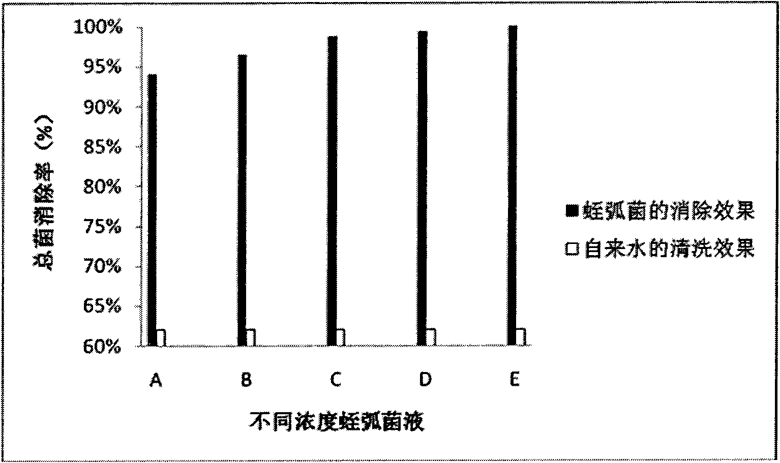 Use of bdellovibrio bacteriovorus bdelloplast as bacteria remover in fruit cleaning