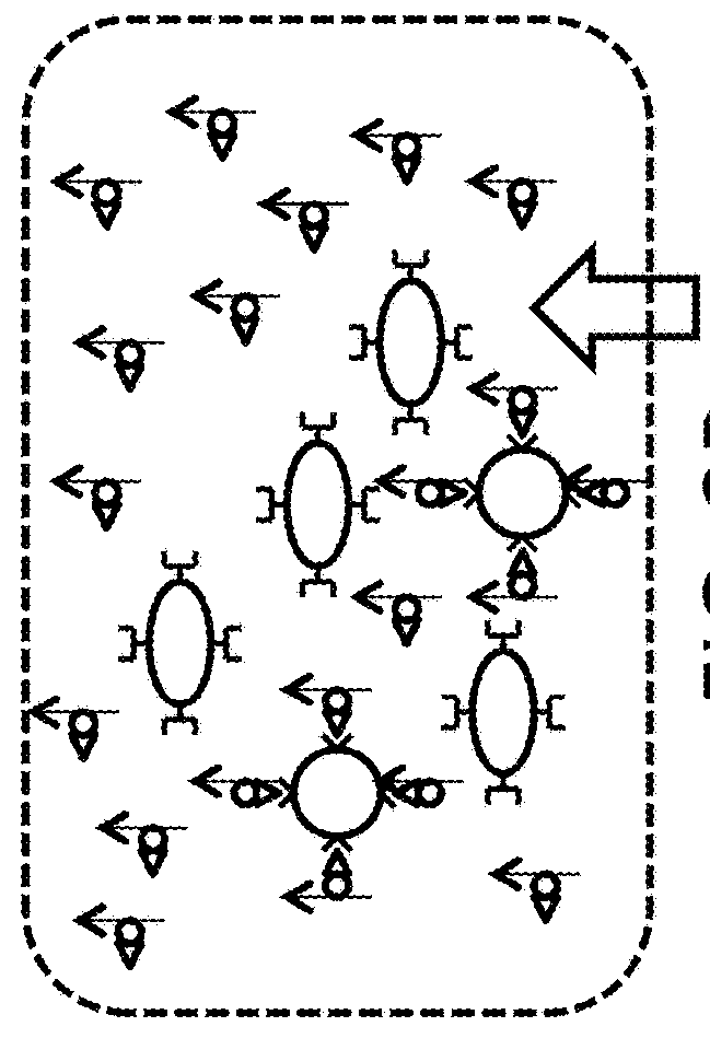 Detection Of Targeted Biological Substances Using Magnetic Relaxation Of Individual Nanoparticles