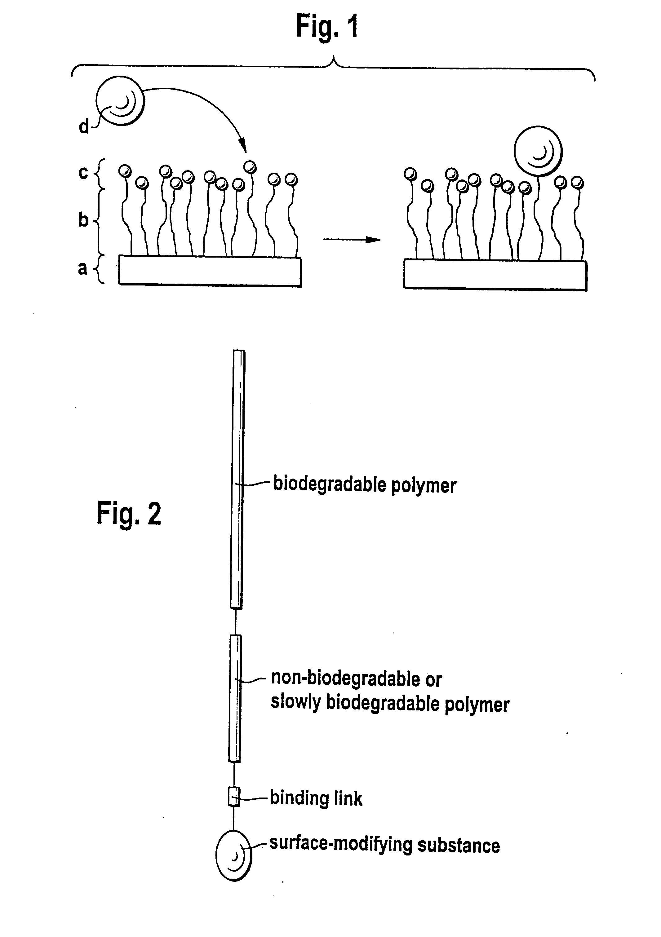 Biodegradable block copolymers with modifiable surface