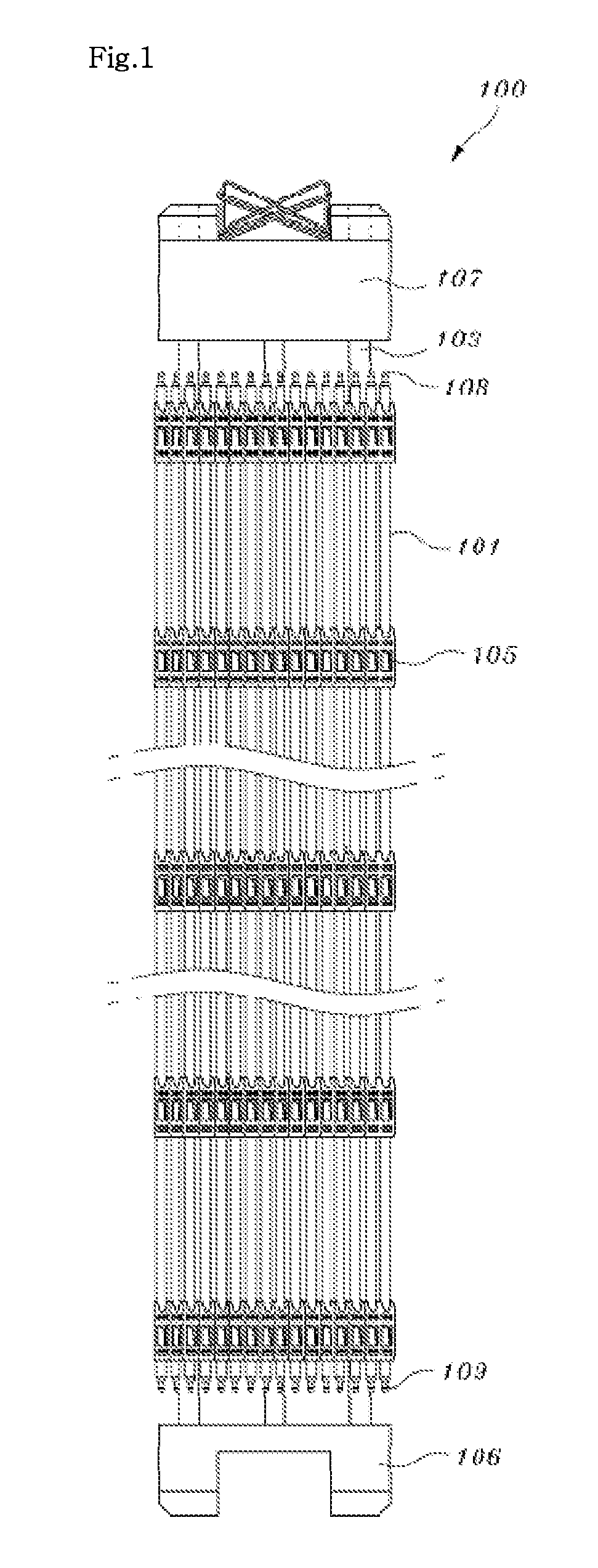 Lower and upper end plugs of an annular fuel rod