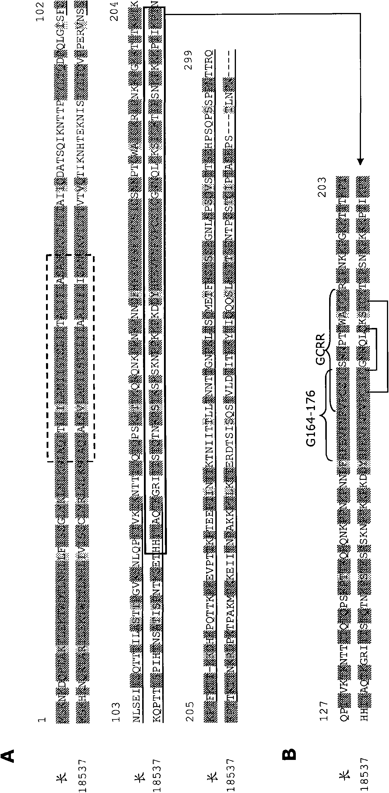 Recombinant antibodies for treatment of respiratory syncytial virus infections