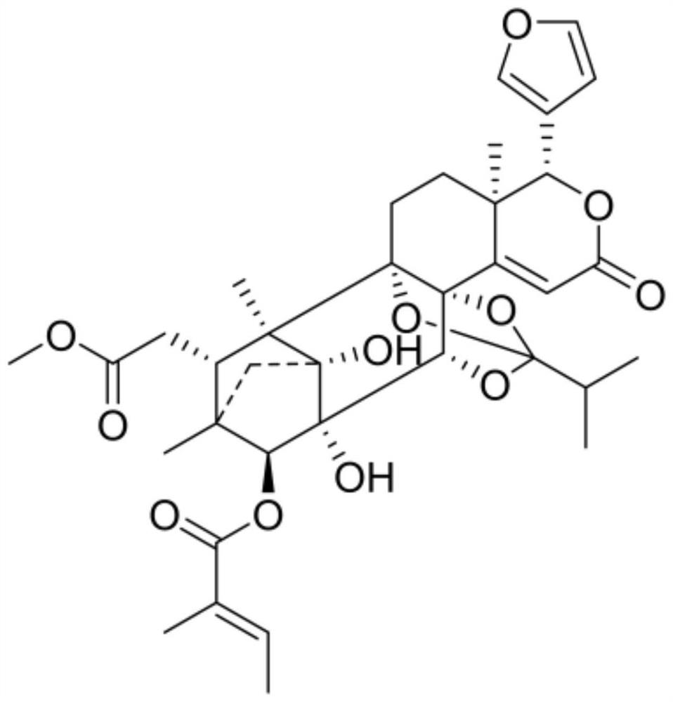 Application of terpenoid THXM 88-3-3 in peach blossom tree fruit as tumor multidrug resistance reversal agent