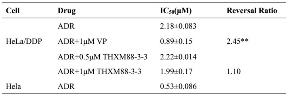 Application of terpenoid THXM 88-3-3 in peach blossom tree fruit as tumor multidrug resistance reversal agent