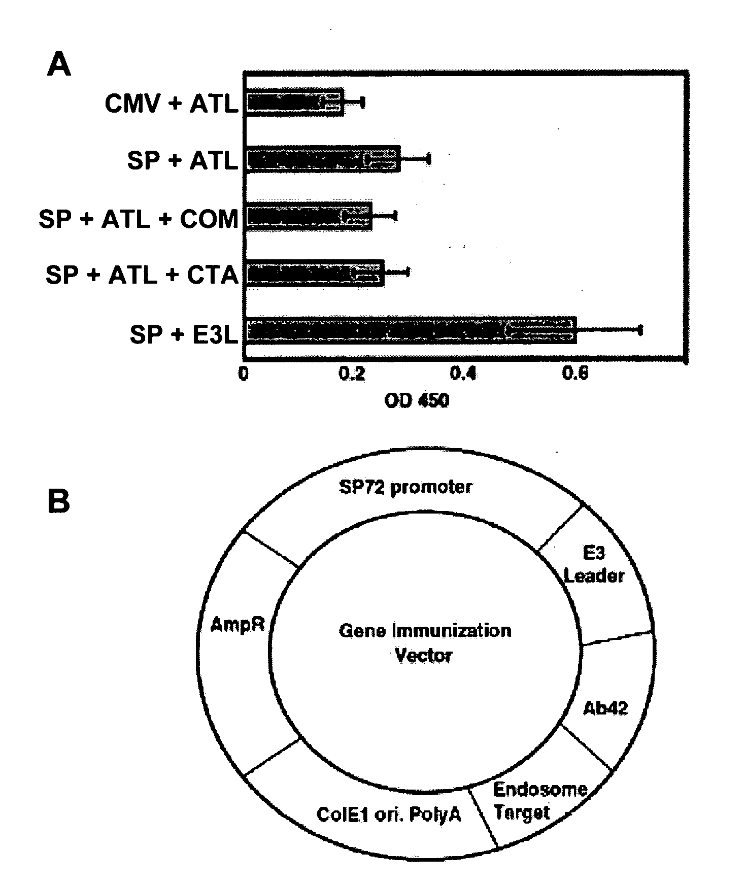 Amyloid beta gene vaccines