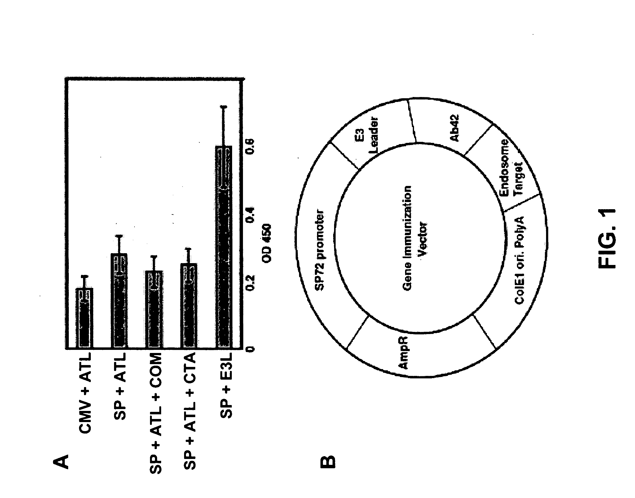 Amyloid beta gene vaccines