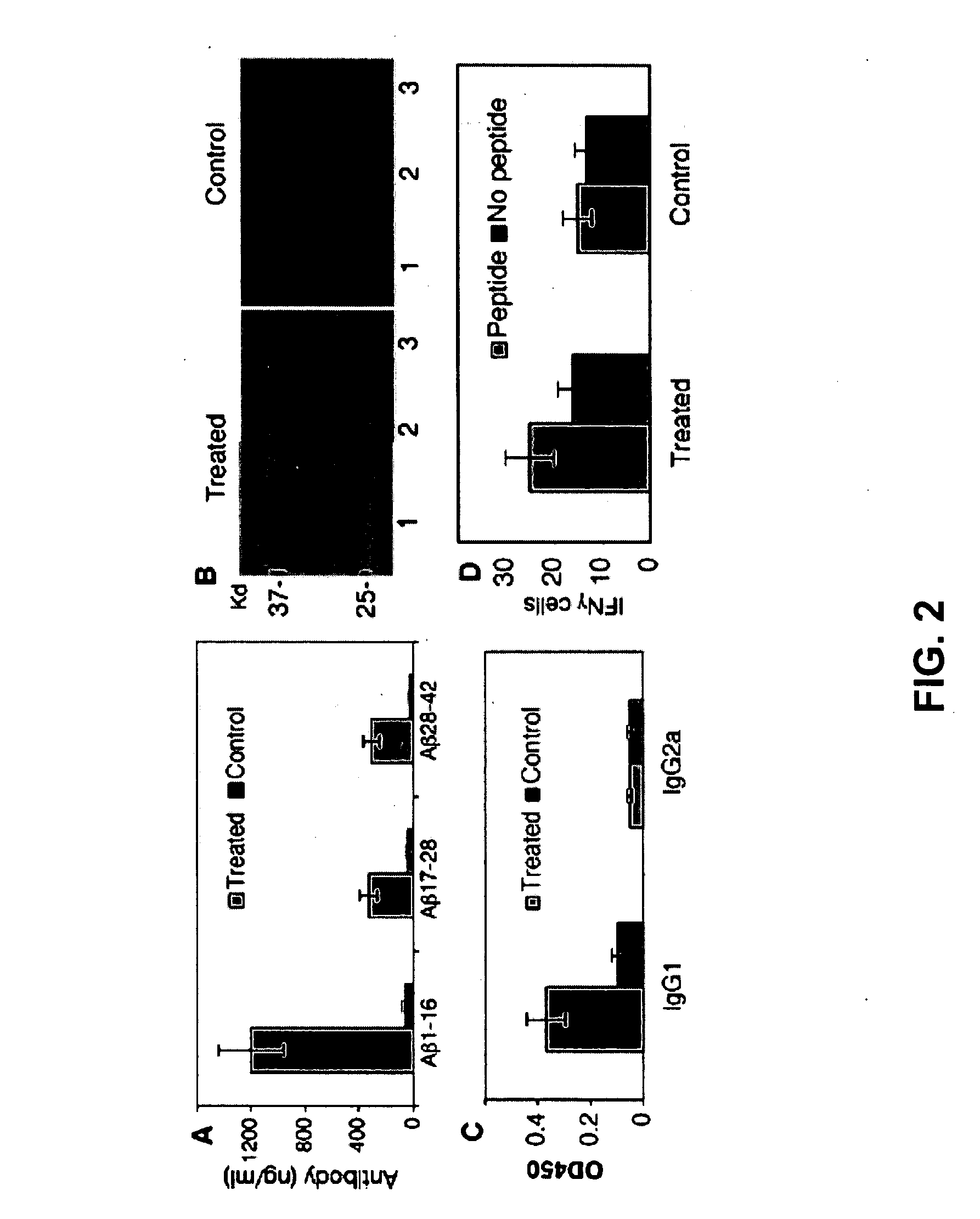 Amyloid beta gene vaccines