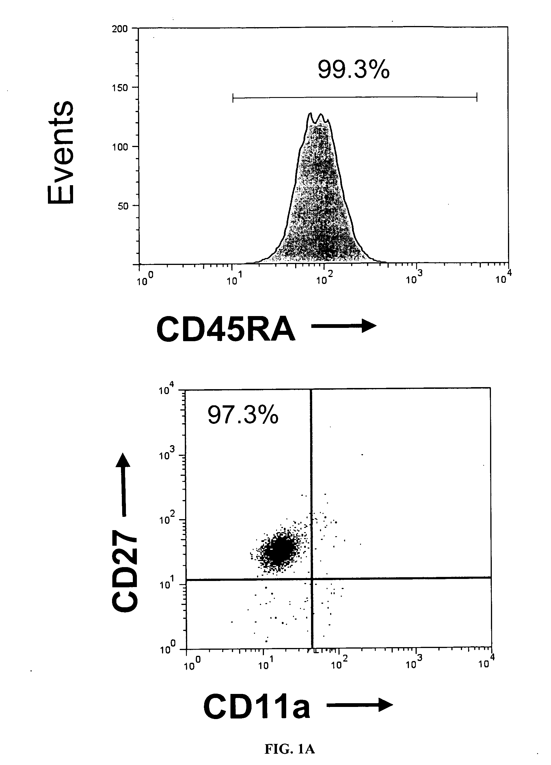 Preparation of regulatory t cells using icam-1 co-stimulation