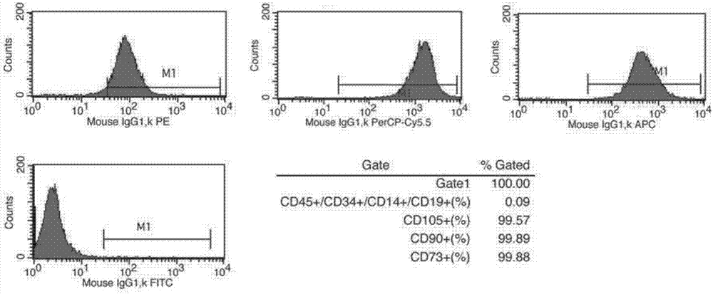 Construction method of mesenchymal stem cell bank