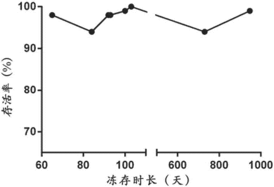 Construction method of mesenchymal stem cell bank