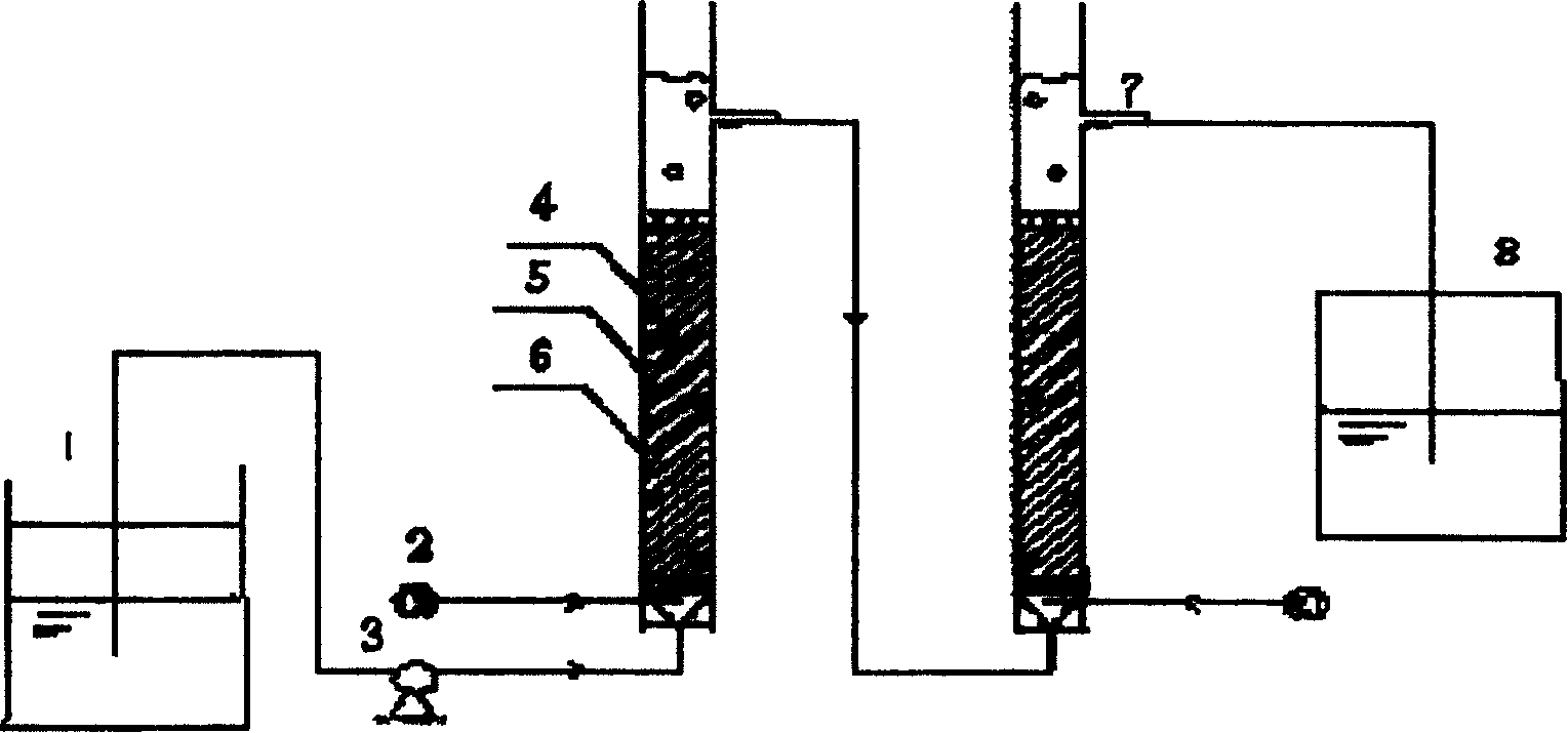 Method and apparatus for immobilizing cells to treat wastewater