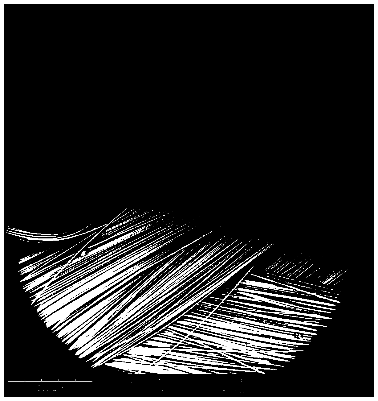 Self-cleaning anti-static high-temperature-resistant filter bag fabric and preparation method thereof