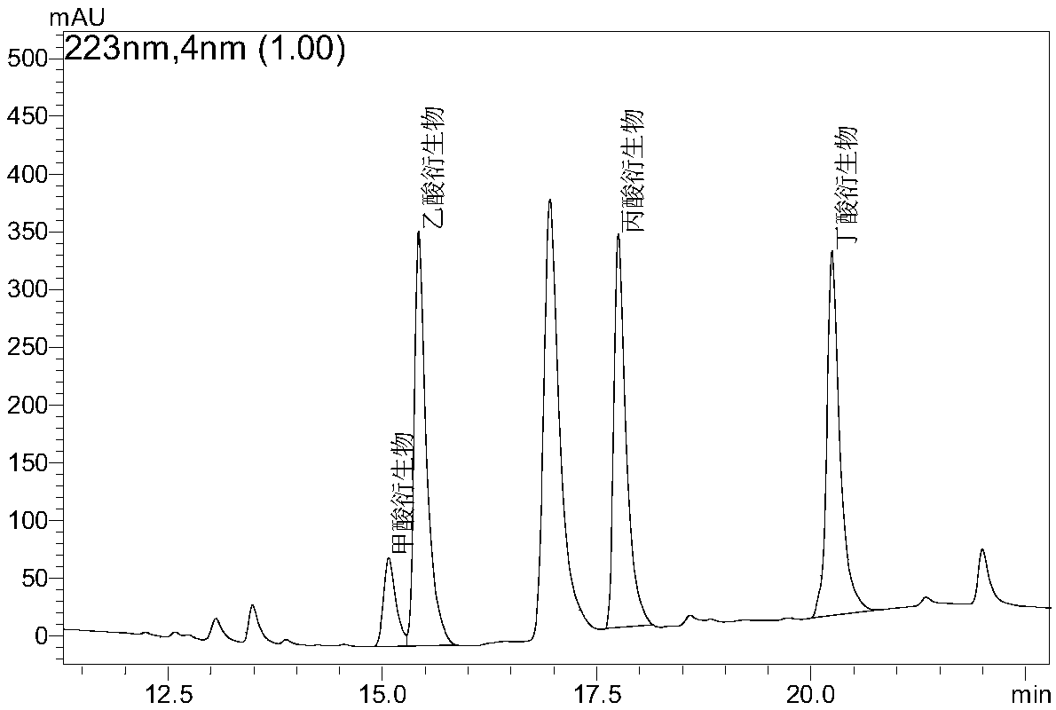 Small molecular monocarboxylic acid derivatization-liquid chromatography detection method