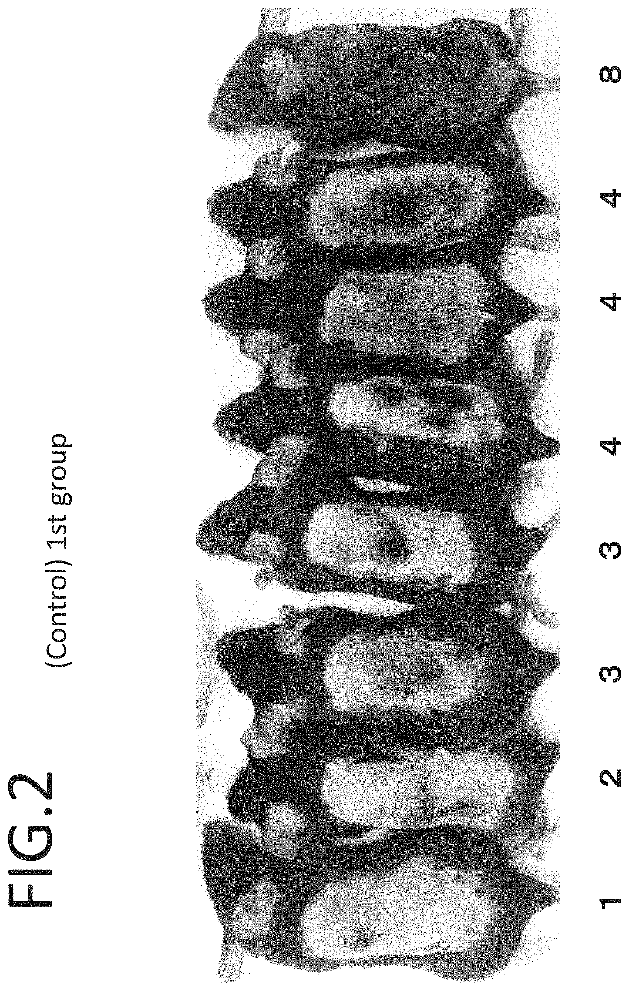 Elastase activity inhibitor, elastase activity inhibiting topical agent, and elastase activity inhibiting food and beverage composition