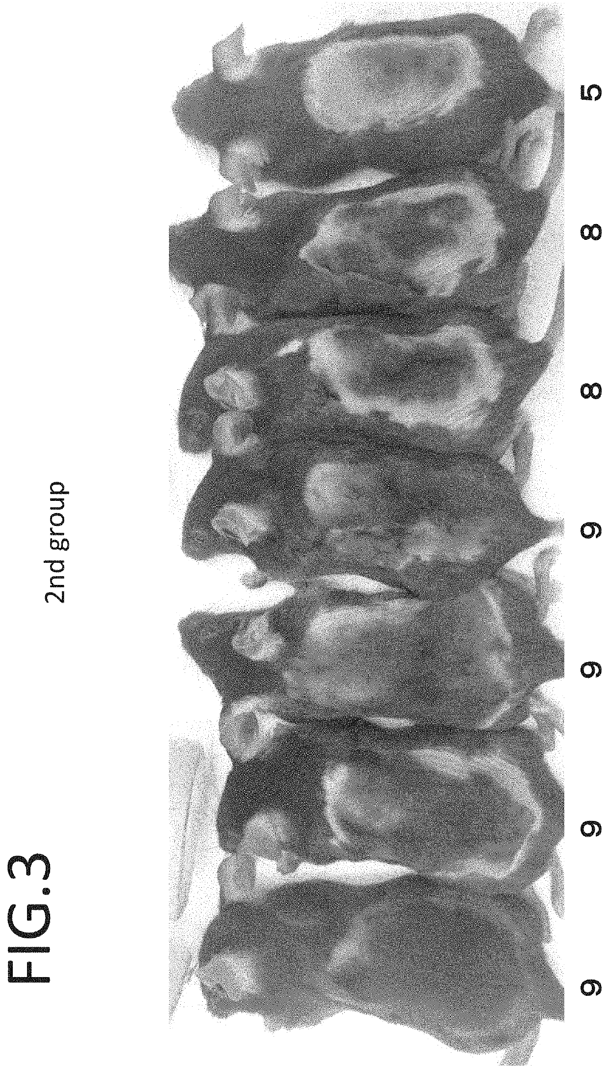 Elastase activity inhibitor, elastase activity inhibiting topical agent, and elastase activity inhibiting food and beverage composition