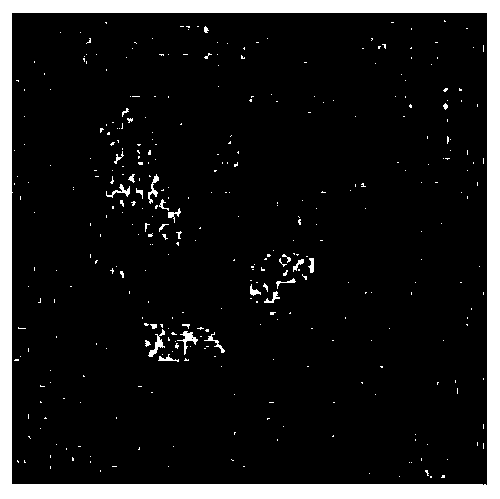 A Hyperspectral Mixed Pixel Classification Method Based on Neighbor Cooperative Enhancement