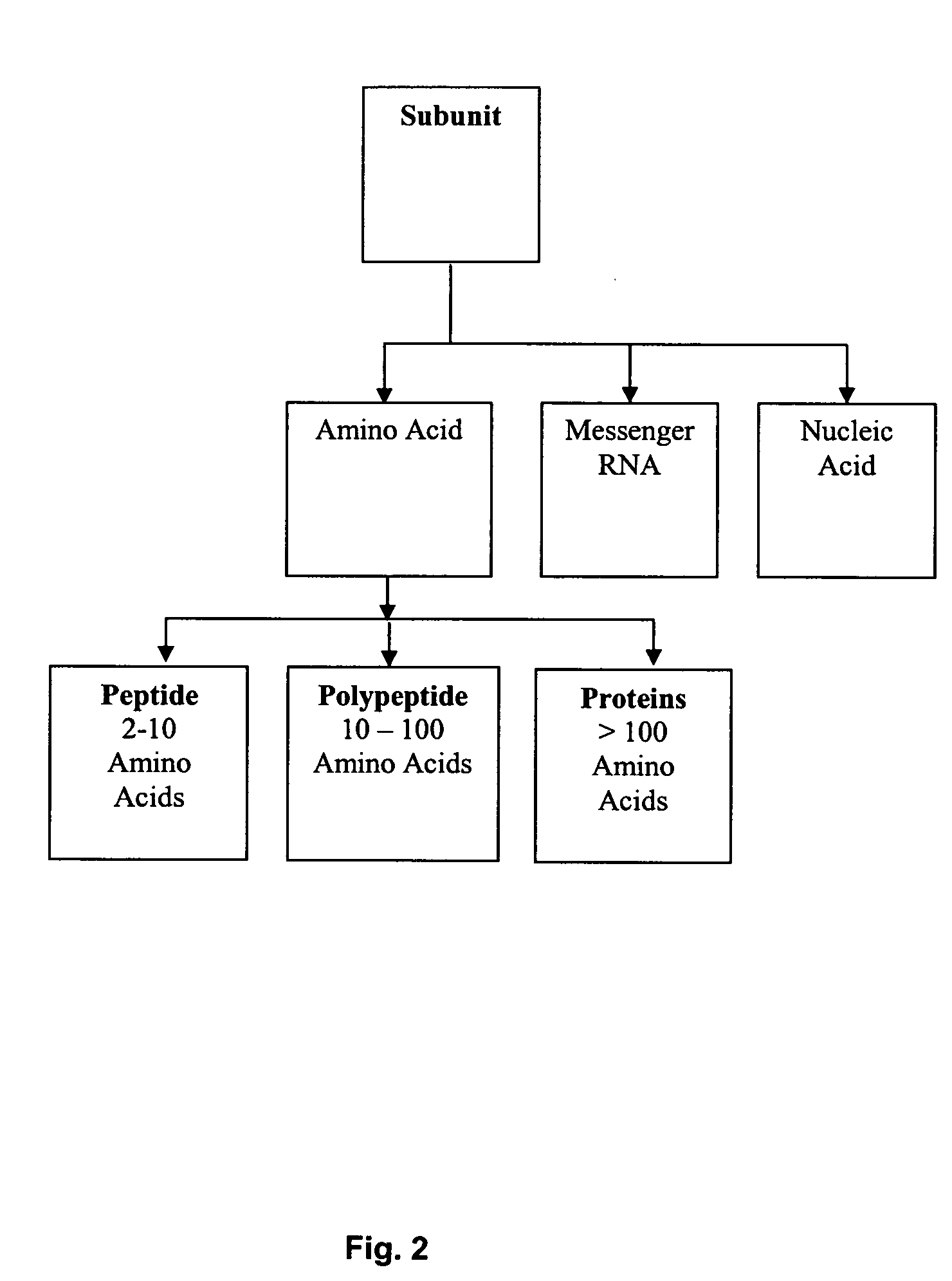 Immunogenic composition and method of developing a vaccine based on cyclophilin a binding site