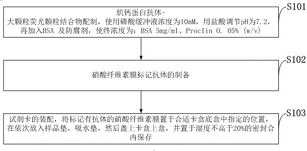 Immunofluorescence kit for quantitatively detecting content of troponin I and preparation method