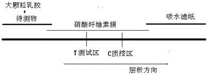 Immunofluorescence kit for quantitatively detecting content of troponin I and preparation method