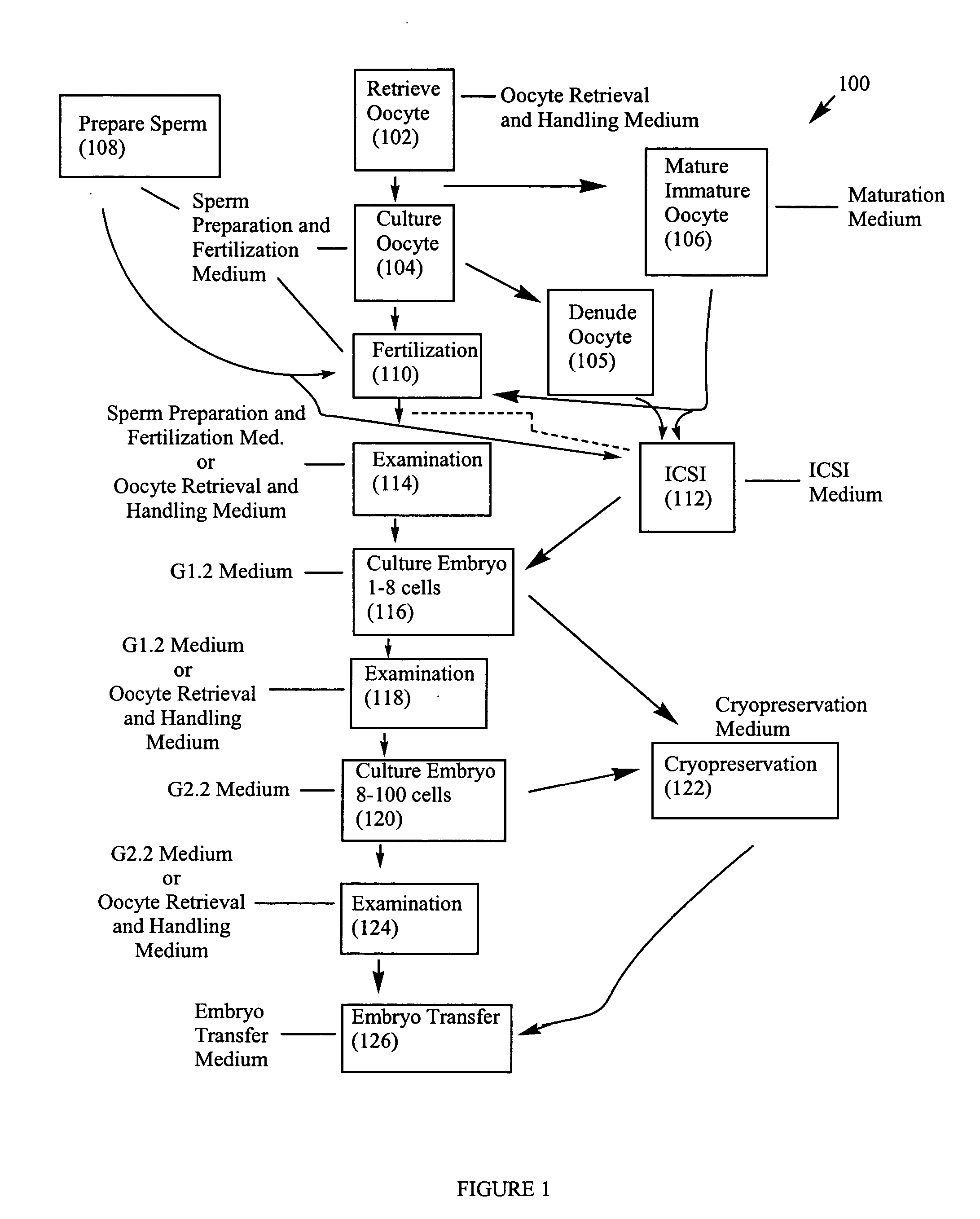 System and sequential culture media for in vitro fertilization