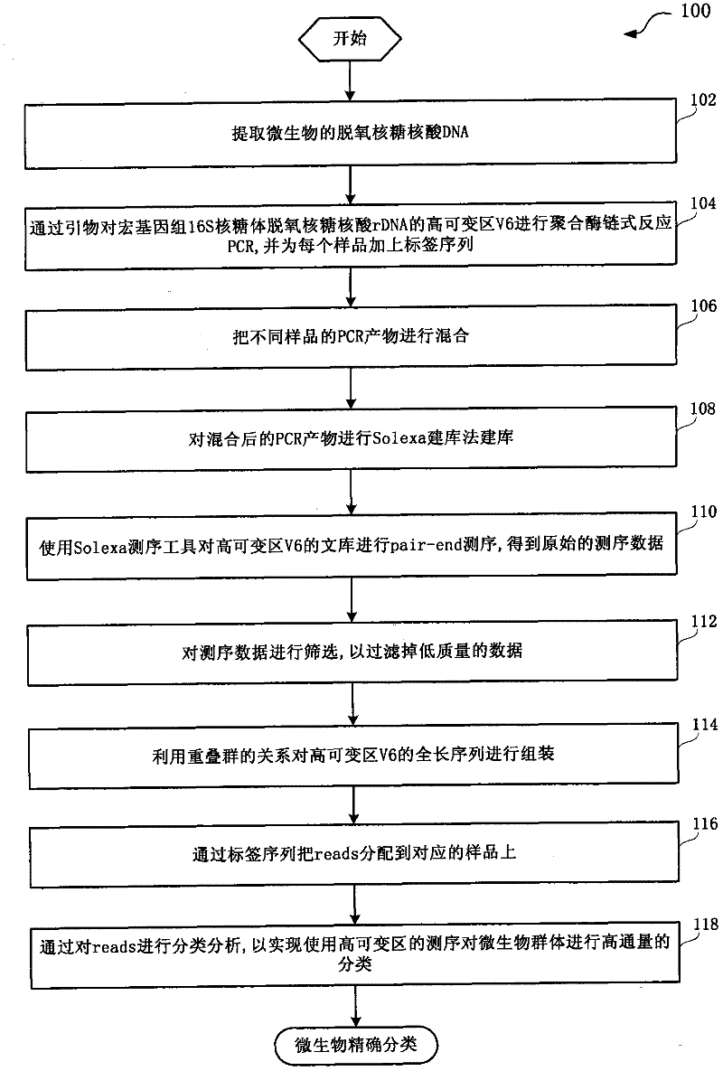 Method for performing sequencing and cluster analysis on V6 hypervariable region of metagenomic 16S rDNA