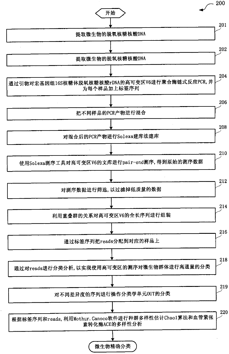 Method for performing sequencing and cluster analysis on V6 hypervariable region of metagenomic 16S rDNA