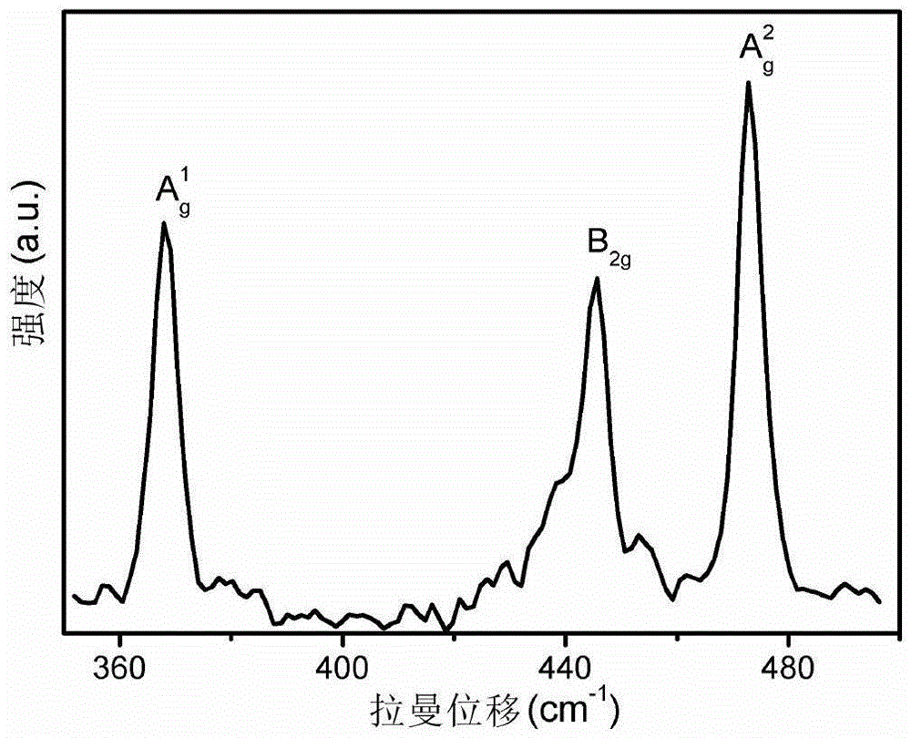 Large-size black phosphorus slice and preparation method thereof